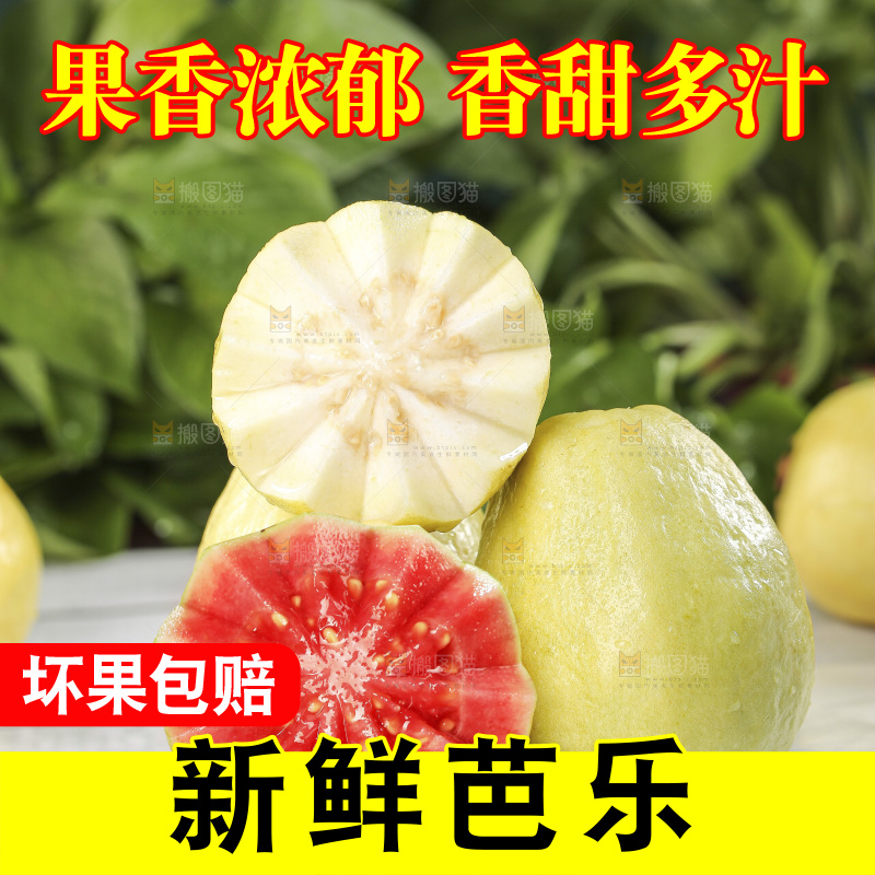 双拼芭乐