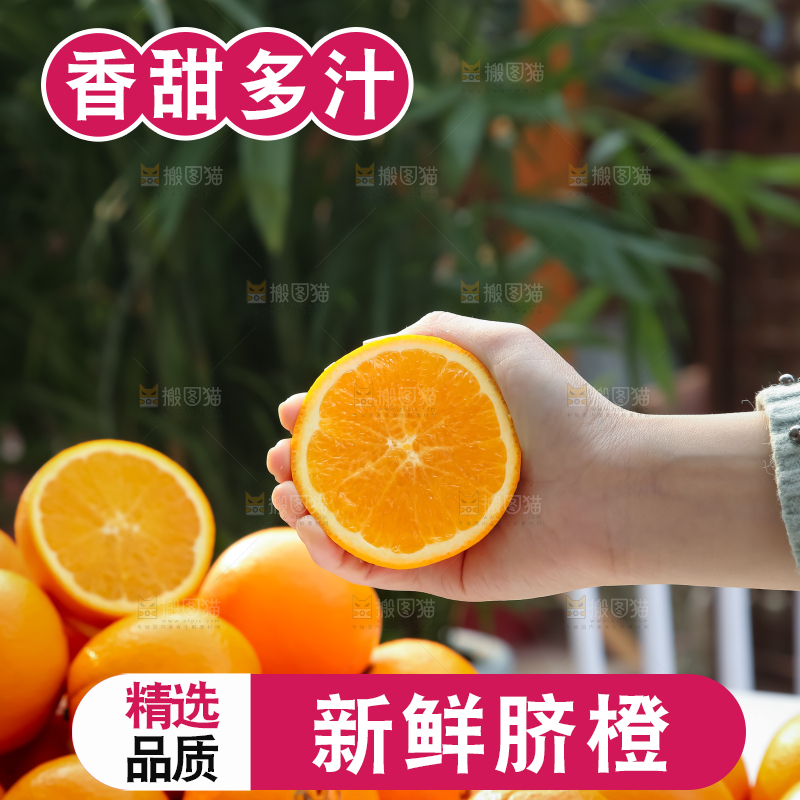 脐橙