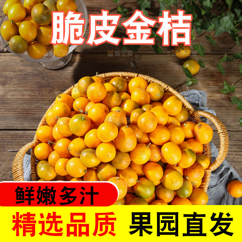 脆皮金桔