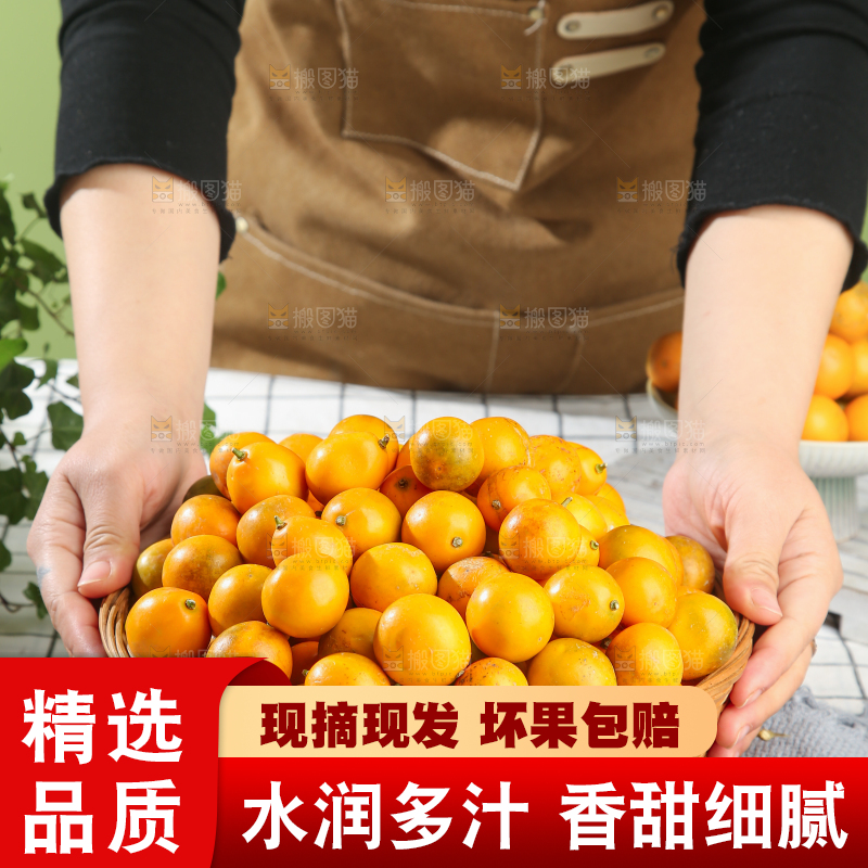 脆皮金桔