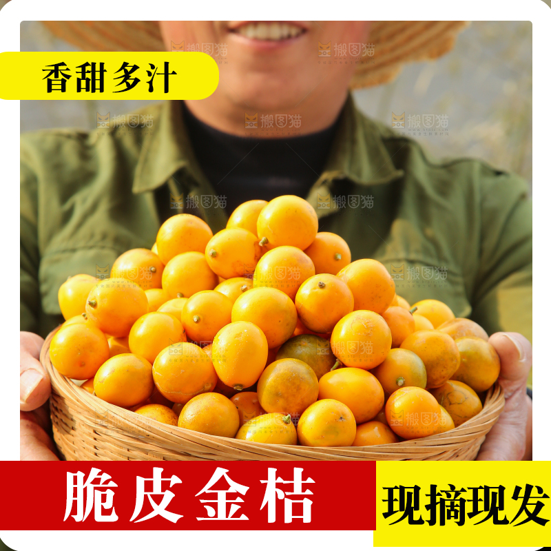 脆皮金桔