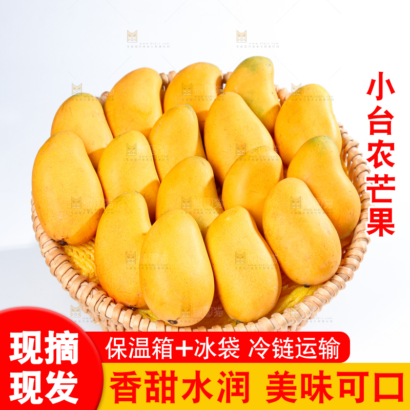 小台芒