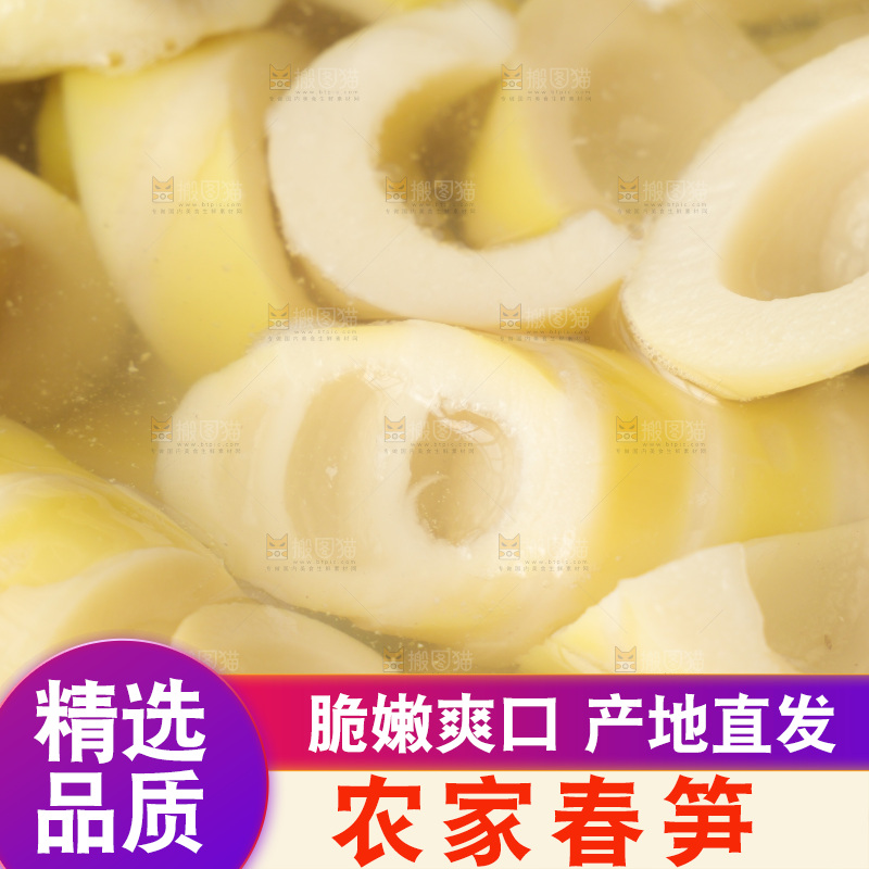 春笋