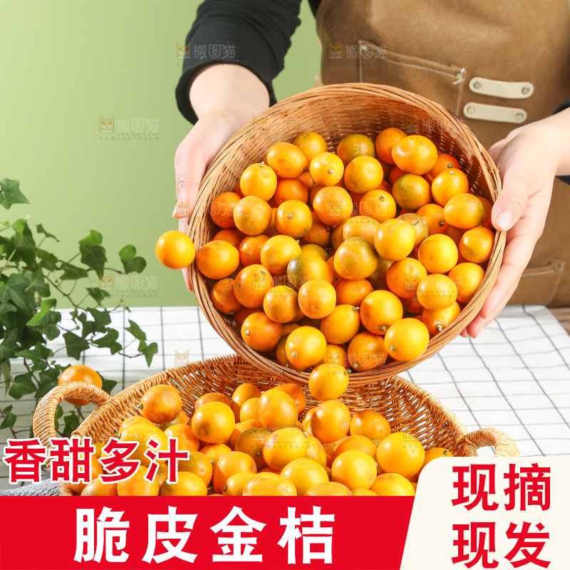 脆皮金桔