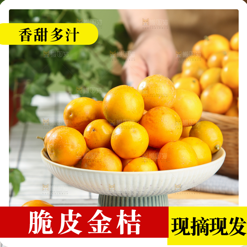 脆皮金桔