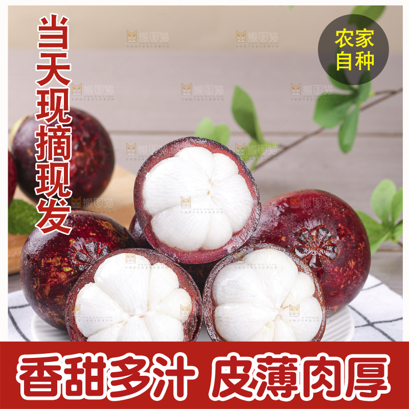 山竹