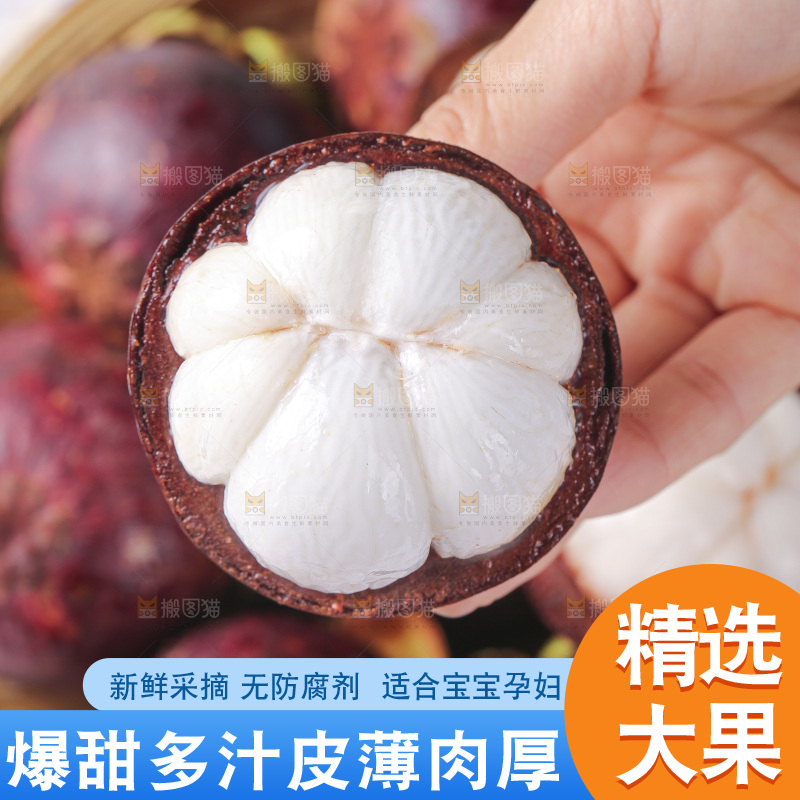 山竹