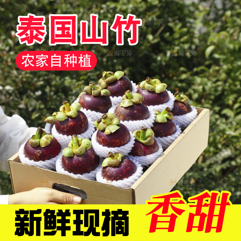 山竹