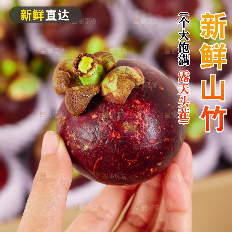 山竹
