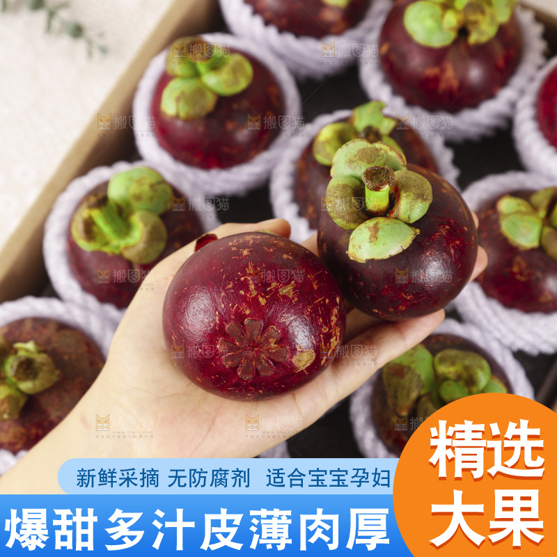 山竹