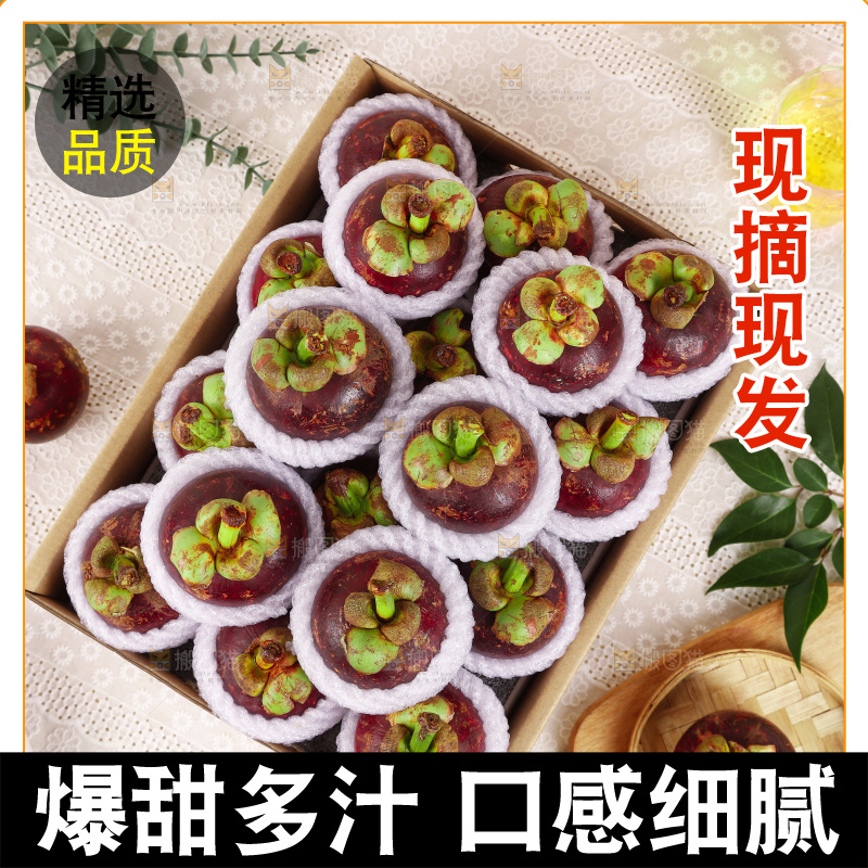 山竹