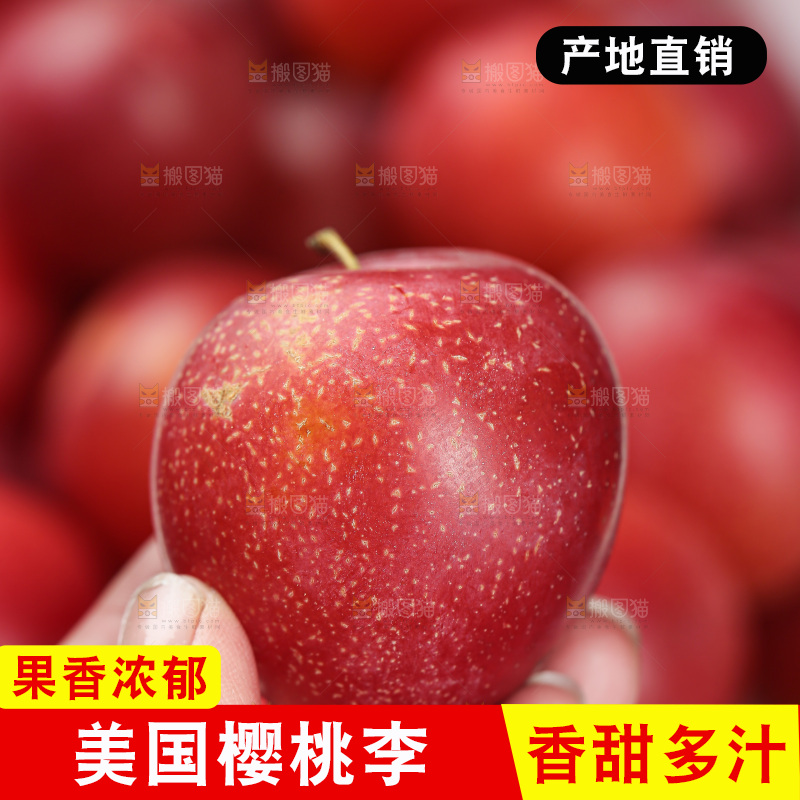 樱桃李