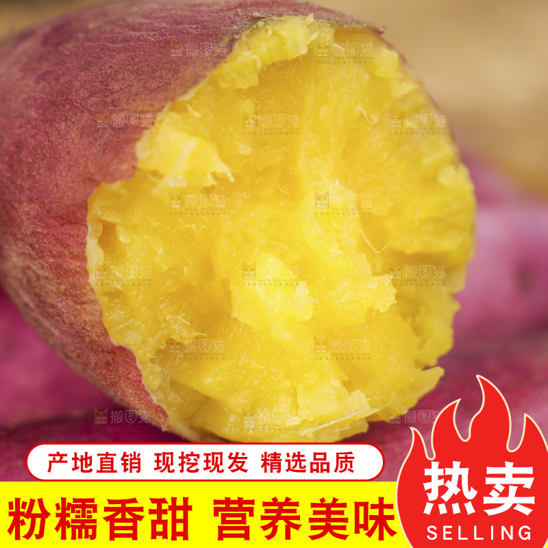 小香薯