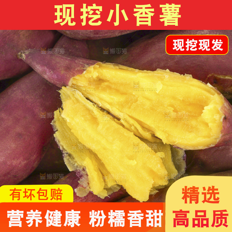 小香薯