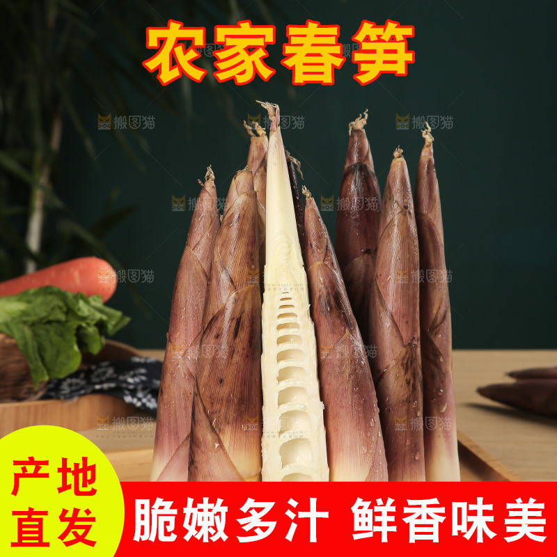 春笋
