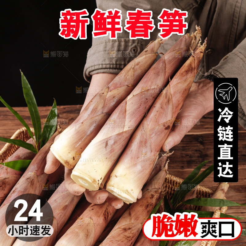 春笋