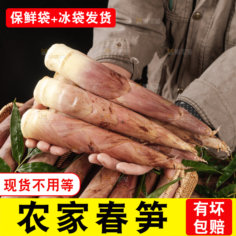 春笋