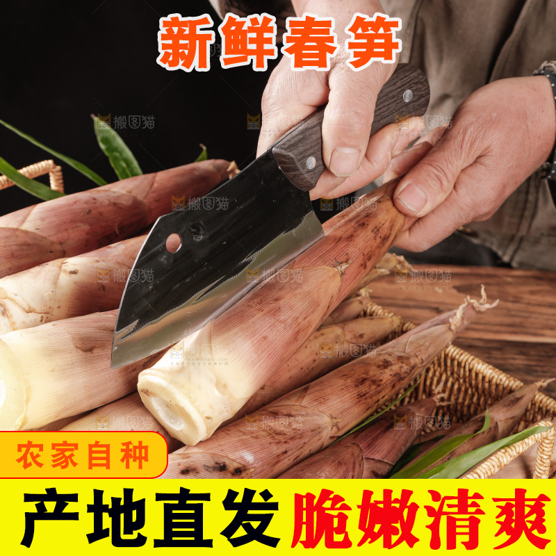春笋