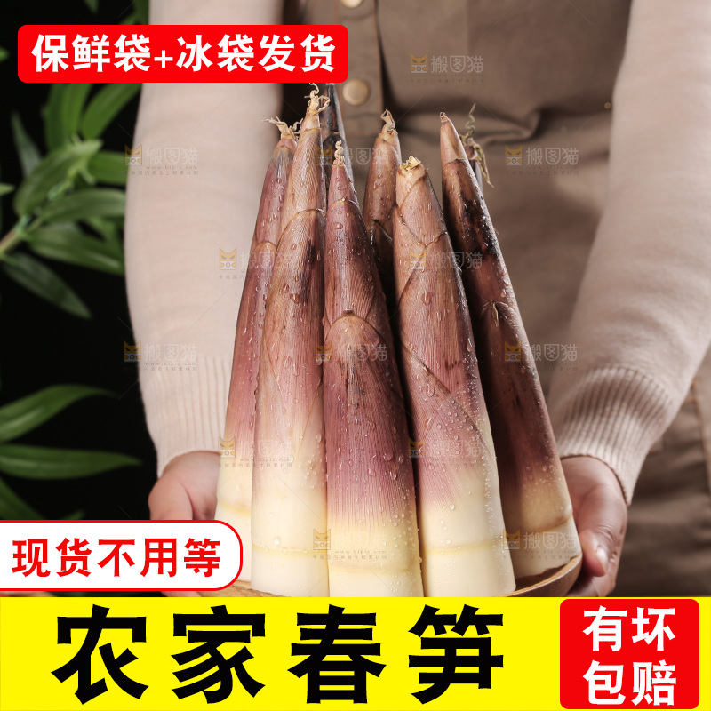 春笋