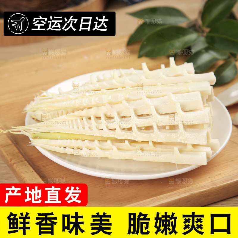 春笋