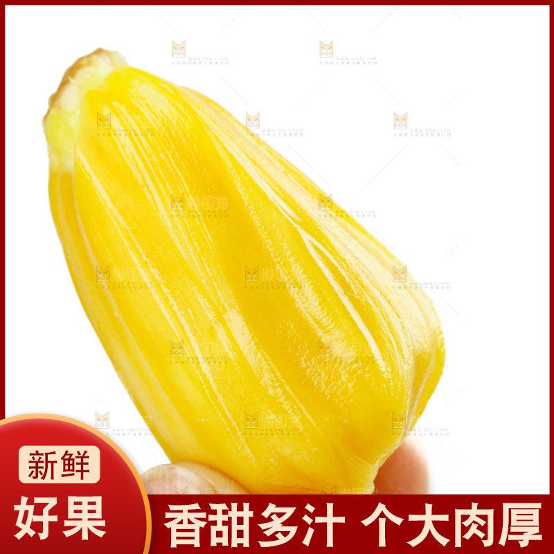 菠萝蜜