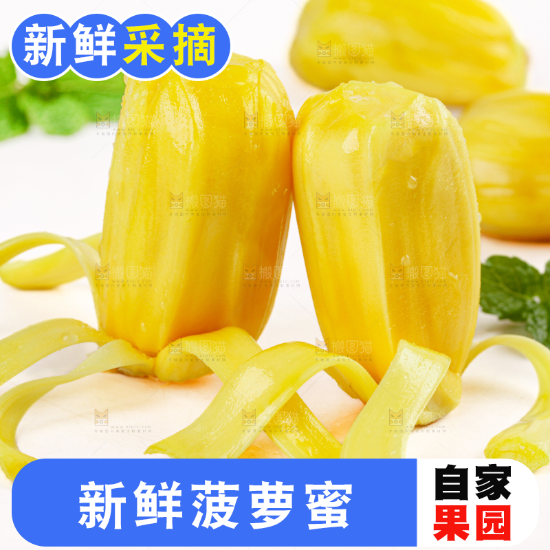 菠萝蜜