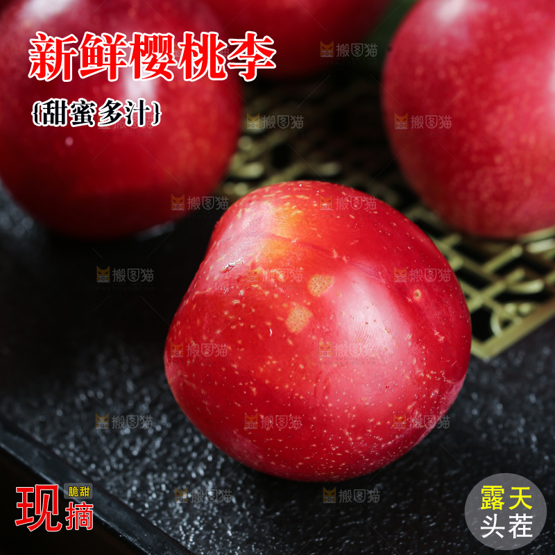 樱桃李
