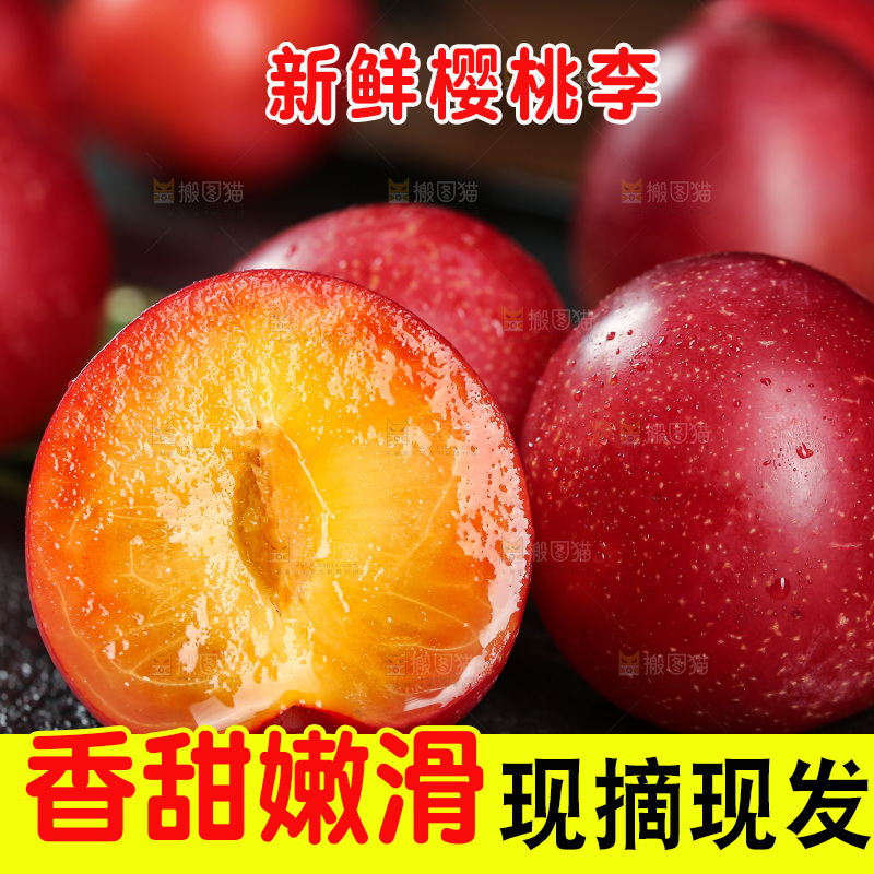 樱桃李