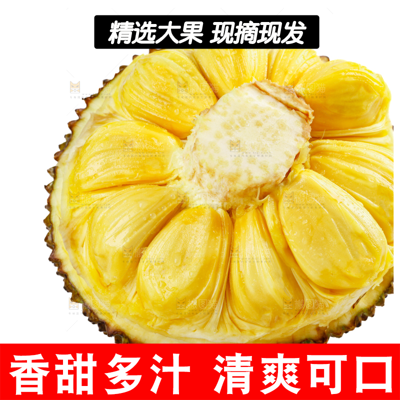 菠萝蜜