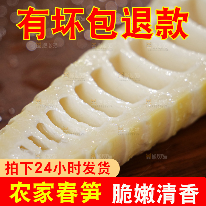 春笋