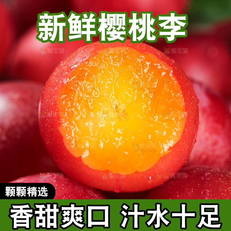 樱桃李