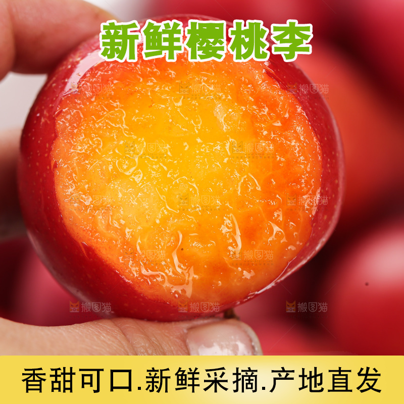 樱桃李