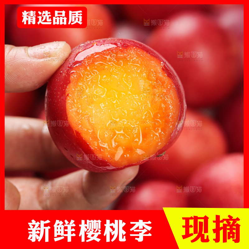 樱桃李