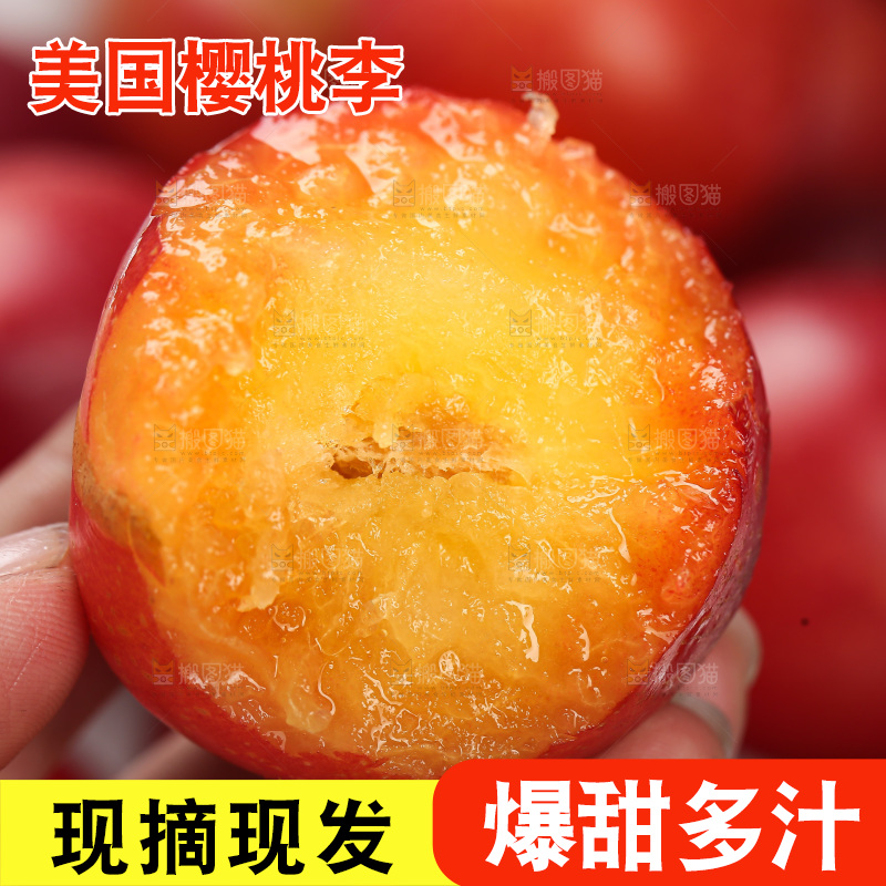 樱桃李