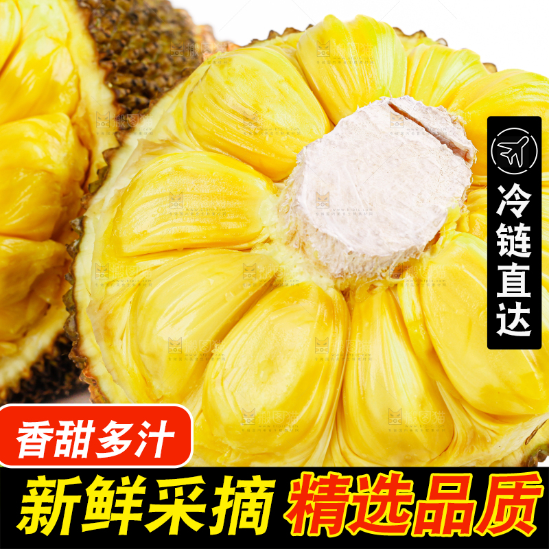 菠萝蜜