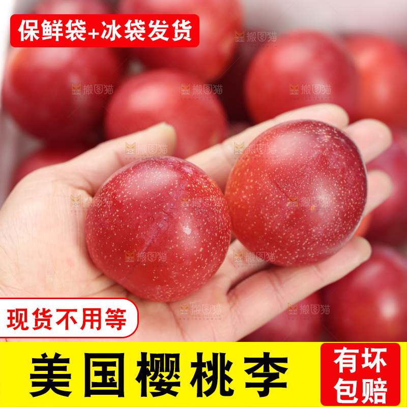 樱桃李