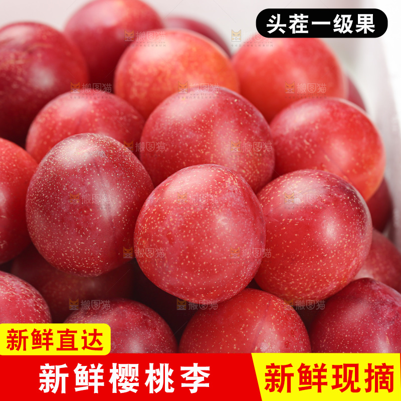 樱桃李