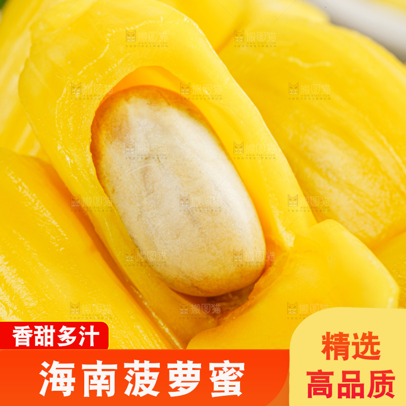 菠萝蜜