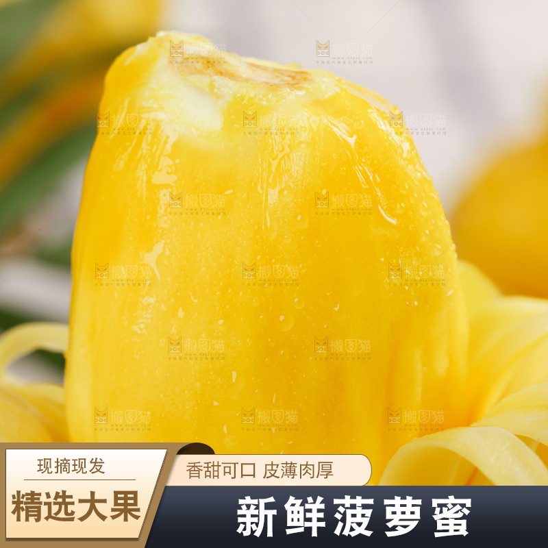 菠萝蜜