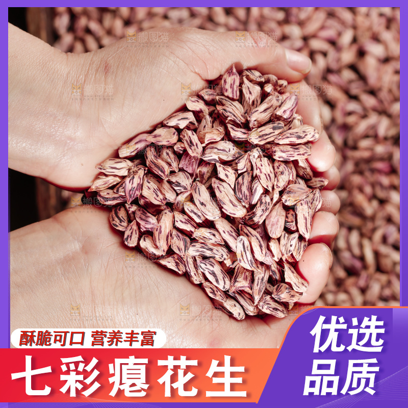 七彩瘪花生