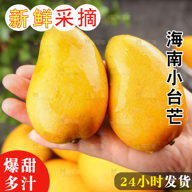 小台芒