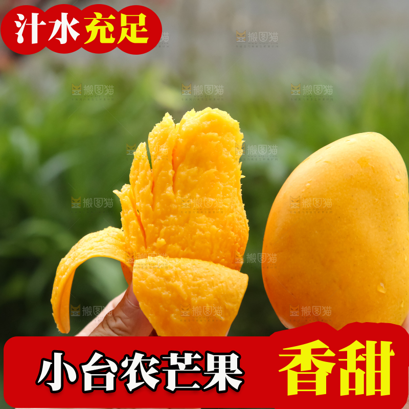 小台芒