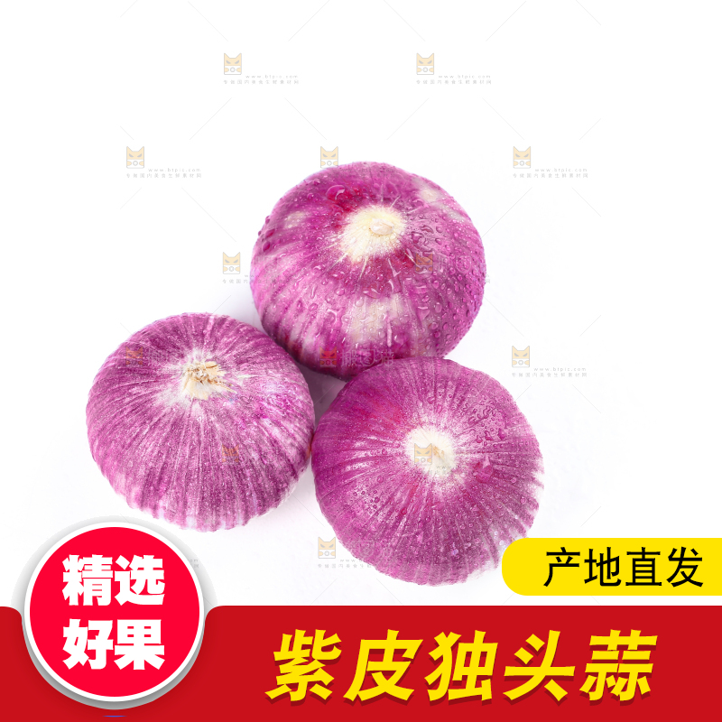 独头蒜