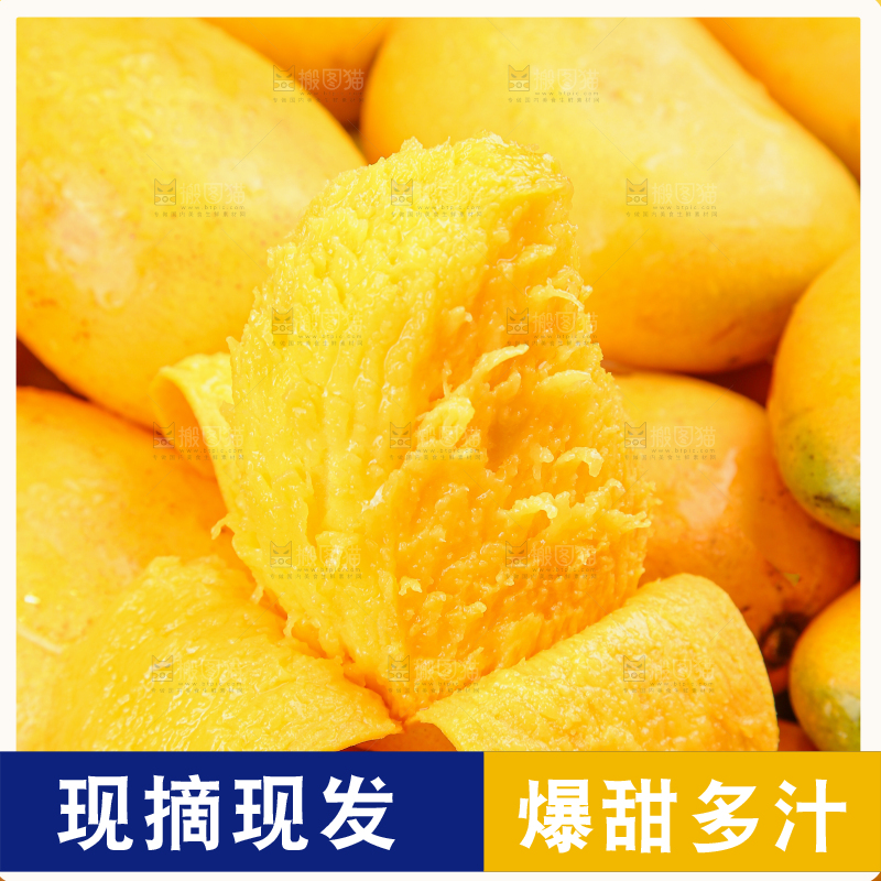 小台芒
