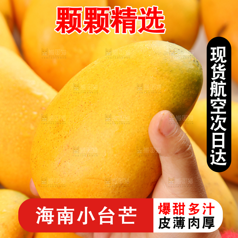 小台芒