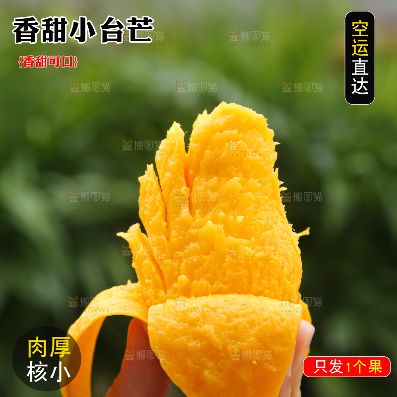 小台芒