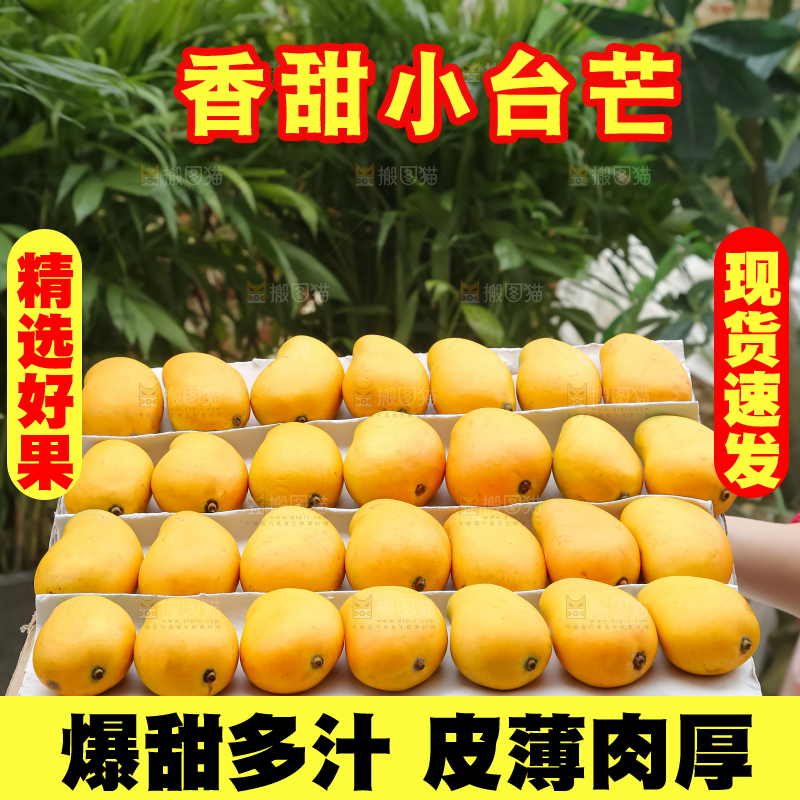 小台芒