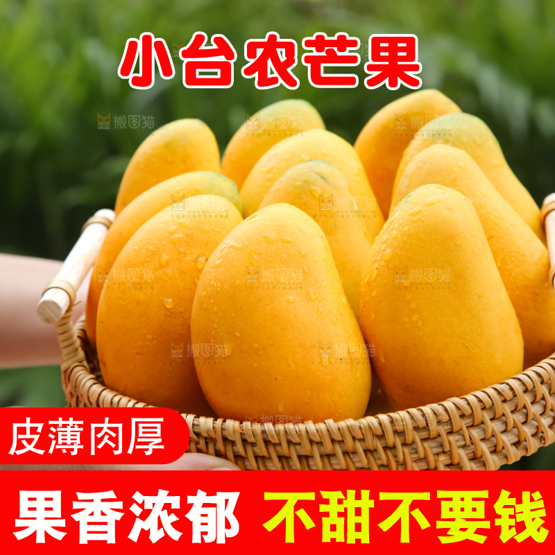 小台芒