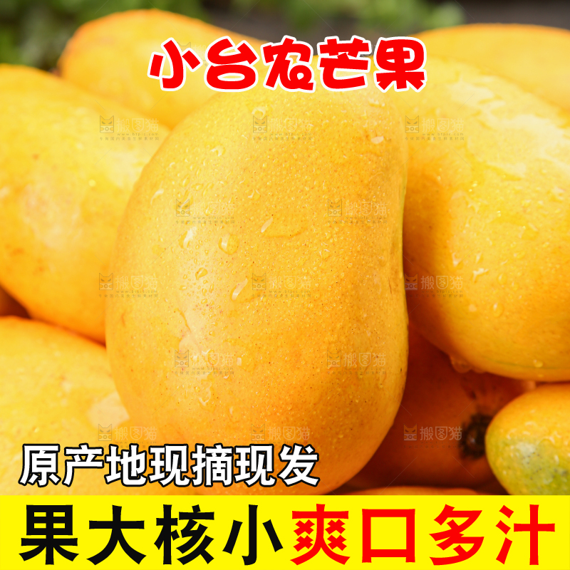小台芒