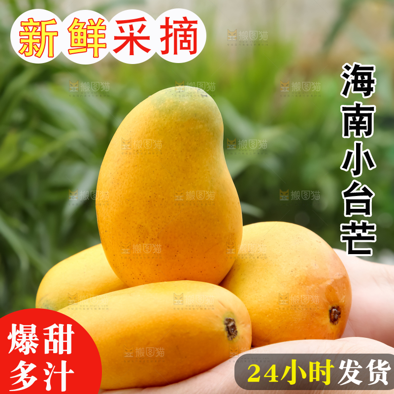 小台芒
